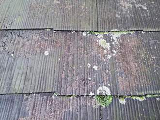 下屋根　塗膜剥がれ　藻　苔